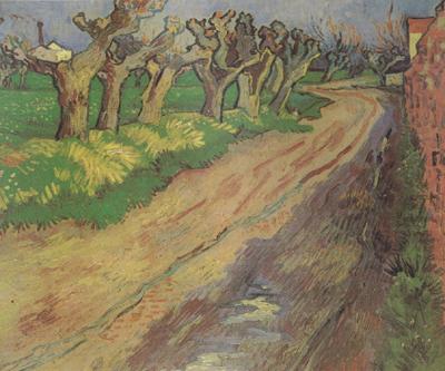 Pollard Willows (nn04), Vincent Van Gogh